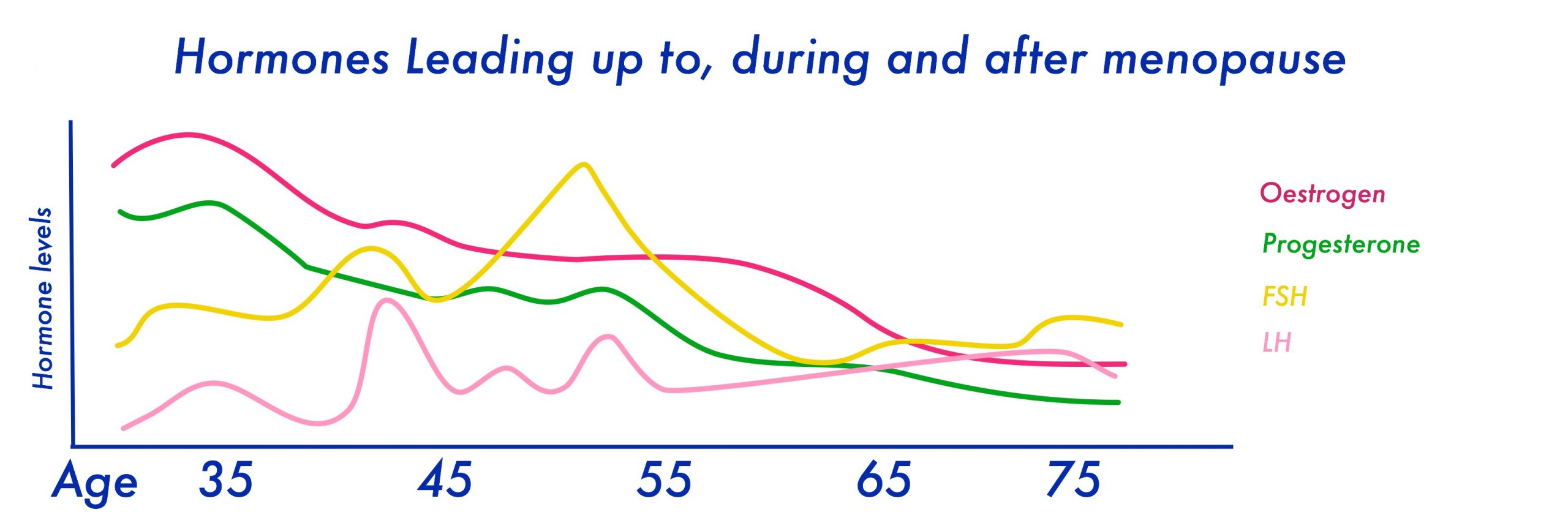Perimenopuase and the endurance athlete